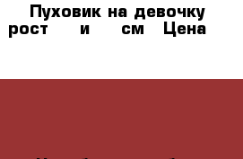 Пуховик на девочку рост 100 и 120 см › Цена ­ 2 100 - Челябинская обл., Челябинск г. Дети и материнство » Детская одежда и обувь   